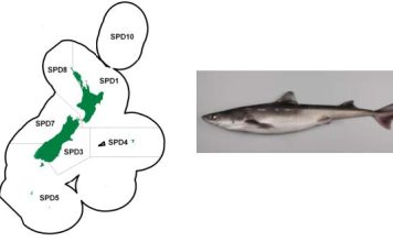 FNZ proposes continued exemption for returning spiny dogfish at sea