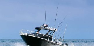 Broadbill 8m Walk-around