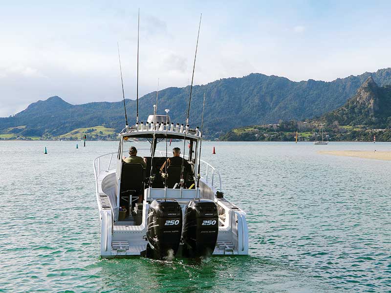 Broadbill 8m Walk-around