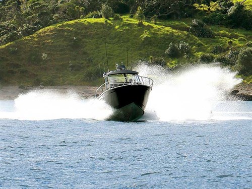 Broadbill 8m Walk-around