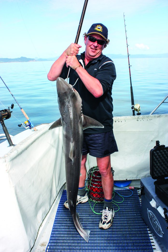 Mouth-gaffing smaller sharks provides more control, allowing the hooks to be removed more easily and safely