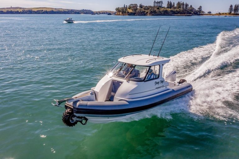 Assault Pursuit 8m Amphibious