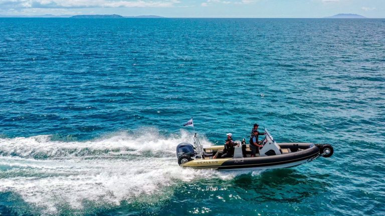 Sealegs 7.5m Amphibious RIB