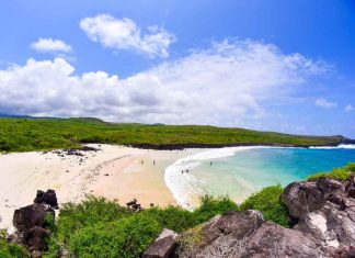 Getting to Galapagos Getting to Galapagos