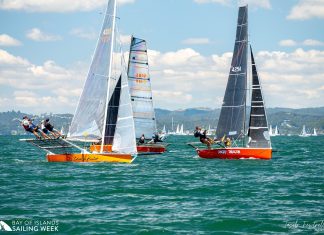 Bay of Islands Sailing Week shifts HQ, seeks sanctuary permit for 2027