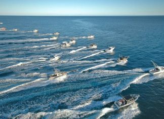 White Pointer boats celebrates 30 Years with Anniversary Fishing Competition