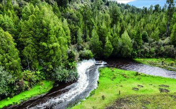 When the rivers run high