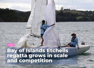 Bay of Islands Etchells regatta grows in scale and competition Bay of Islands Etchells regatta grows in scale and competition