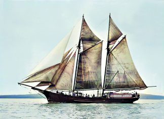 The Yates family of the Far North and their Bailey & Lowe launches Part II: Tui Silver Bell