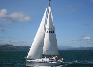 1974 Alan Mummery Ibis