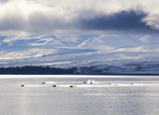 Ice, engines and precision: Lake Tekapo host midwinter boat marathon