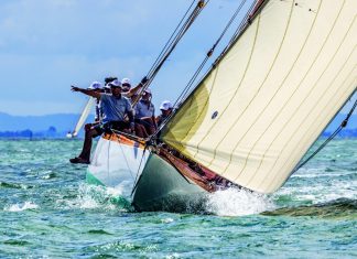 NZ’s finest race for glory
