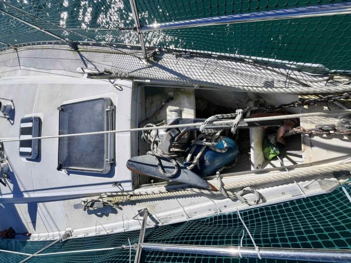 Prepare for summer clean your anchor locker and stop pests hitching a ride Photo credit Kirsten Thomas Boating New Zealand