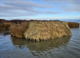 Getting your boat ready for the New Zealand game bird hunting season Getting your boat ready for the New Zealand game bird hunting season