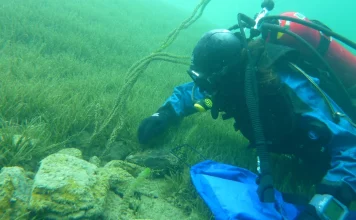 Control efforts underway as invasive lakeweed threatens Otago lakes