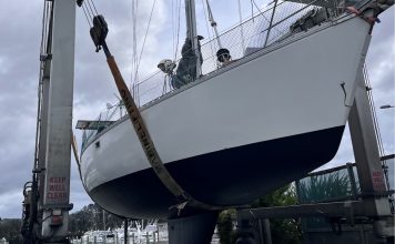 Updated haulout directory released for 2025–26