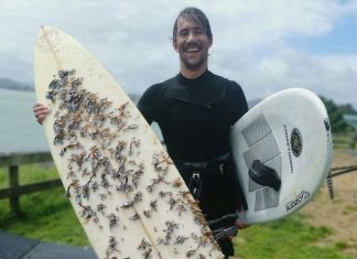 Two surfboards, one sea: how the Tasman carries its stories