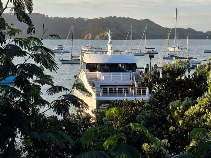 // Photo credit: Thames-Coromandel District Council