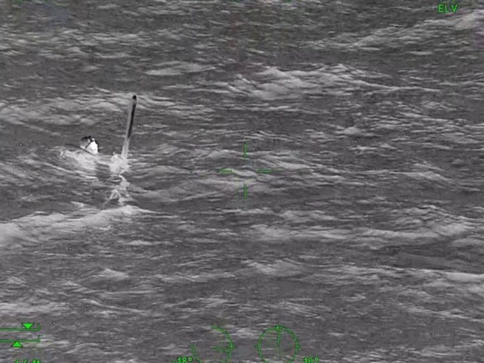 Auckland rescues, diver