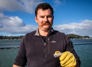 Faulty alarm and surge protection led to Mahurangi River wastewater spill, reviews find Faulty alarm and surge protection led to Mahurangi River wastewater spill, reviews find