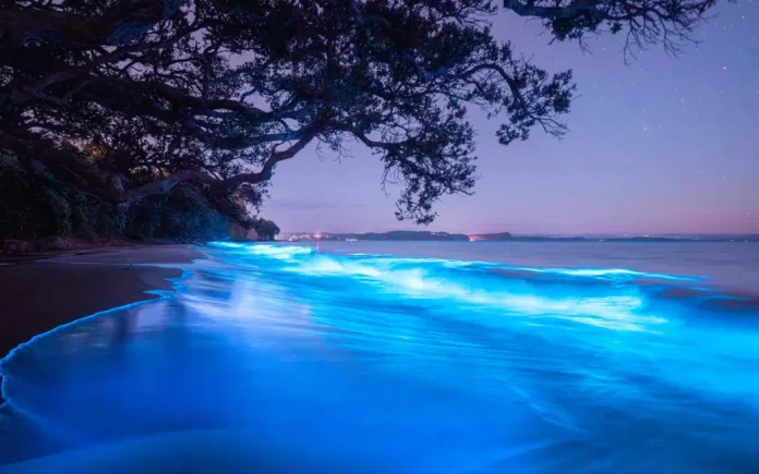 One photographer said it was an unforgettable show. Photo- Supplied:Matthew Davison