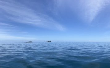 One Ocean Protest: recreational fishers rally to defend fair access in the Hauraki Gulf