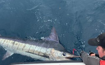 Shane Jones speaks to Northland sport fishers about Marlin, but avoids Hauraki Gulf concerns