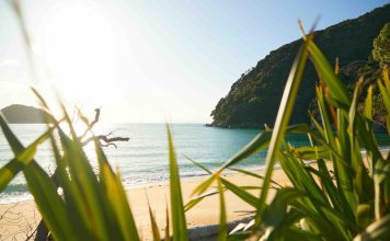 Aotearoa Ocean Racing and KiwiFibre Partner will Pioneer Harakeke based Composites in The Ocean Race yacht