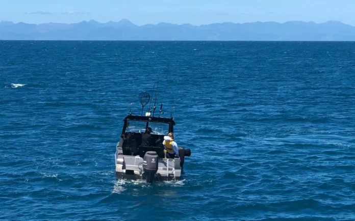 A 6.5m Stabicraft was spotted in the Tonga Island Marine Reserve with the occupants seen catching fish on 16 November. Photo- Department of Conservation