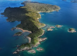 Southland’s waters warming faster than most Southland’s waters warming faster than most