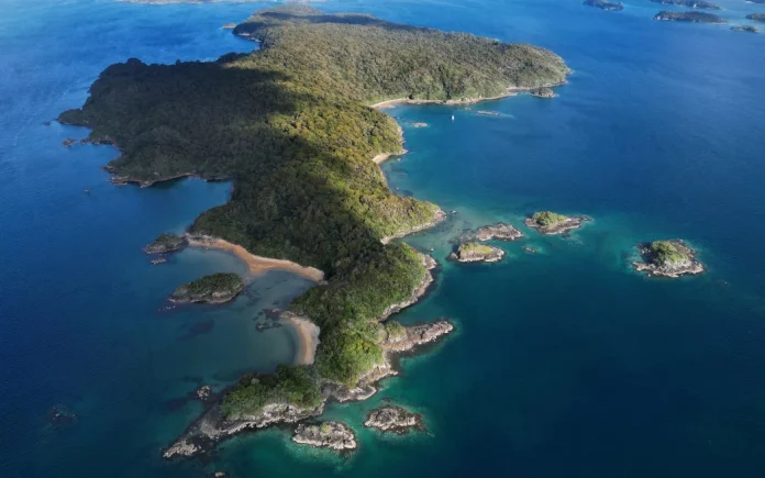 Ulva Island:Te Wharawhara, near Stewart Island:Rakiura. Photo- ODT : Supplied