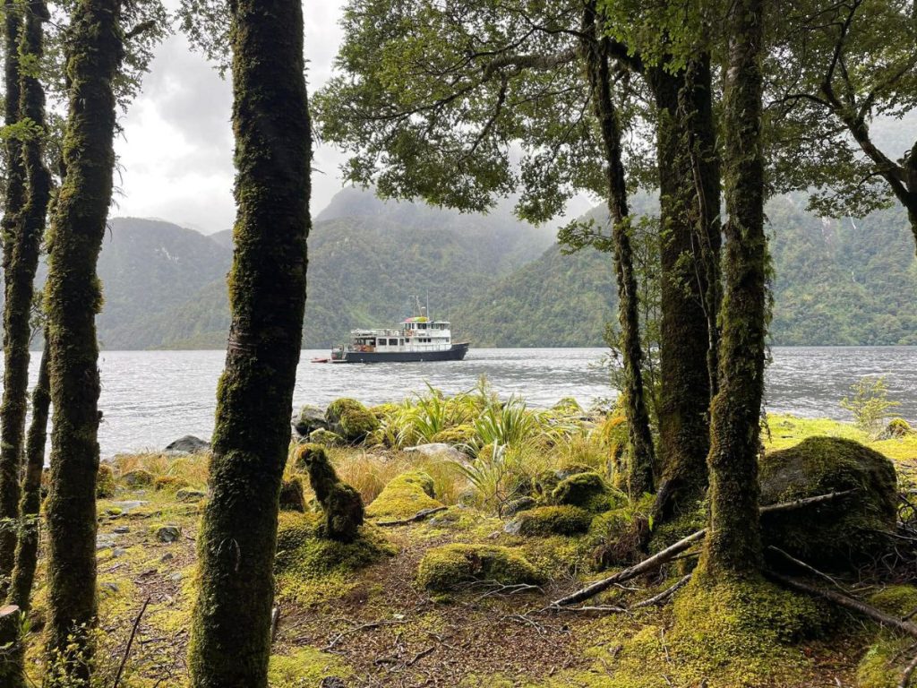 Wild Chix, Fiordland, and a floating base called Flightless // Photo credit: Wild Chix
