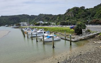 Whakatāne Yacht Club berths drowning in silt