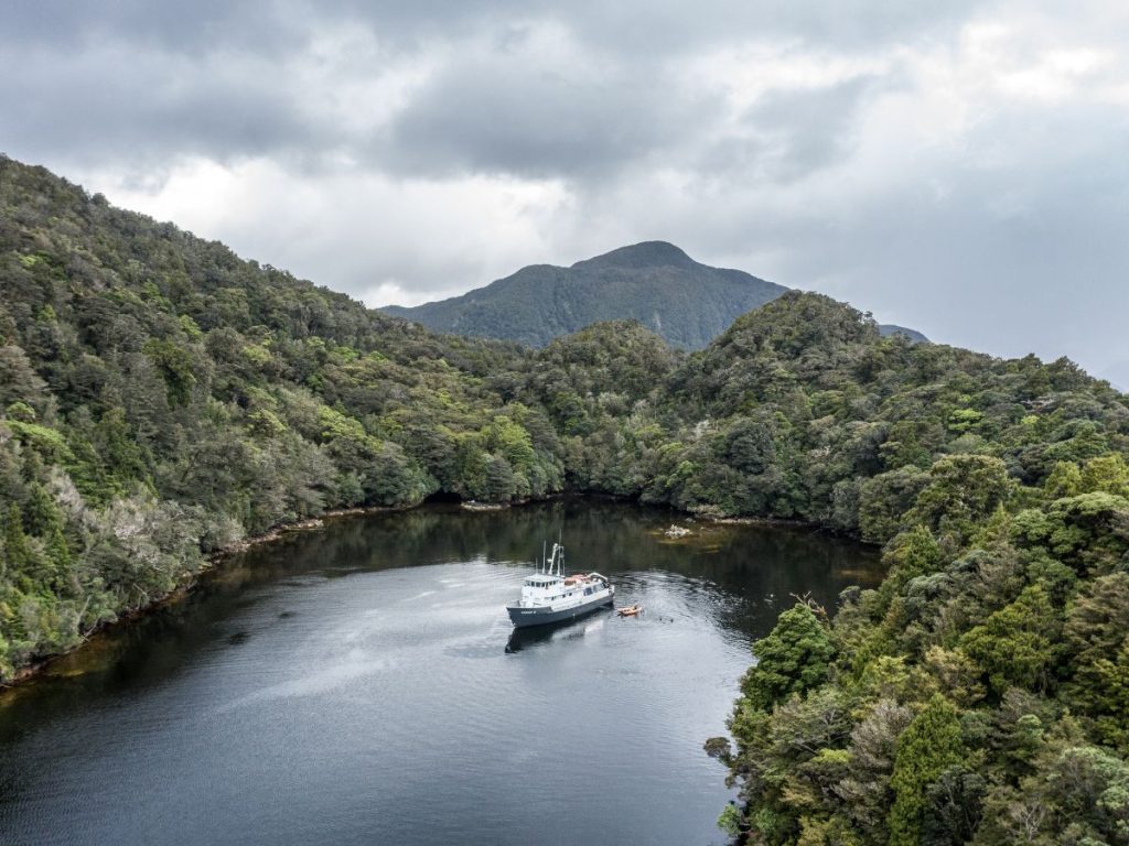 MV Flightless // Photo credit: PureSalt