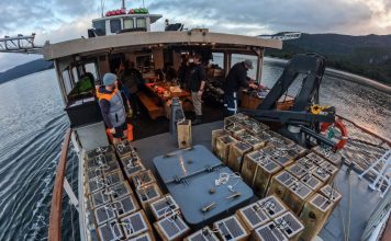 Pure Salt named Sustainability Leader of the Year semi finalist for Fiordland conservation