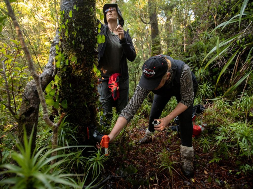 She wee's on traps // Photo credit: PureSalt