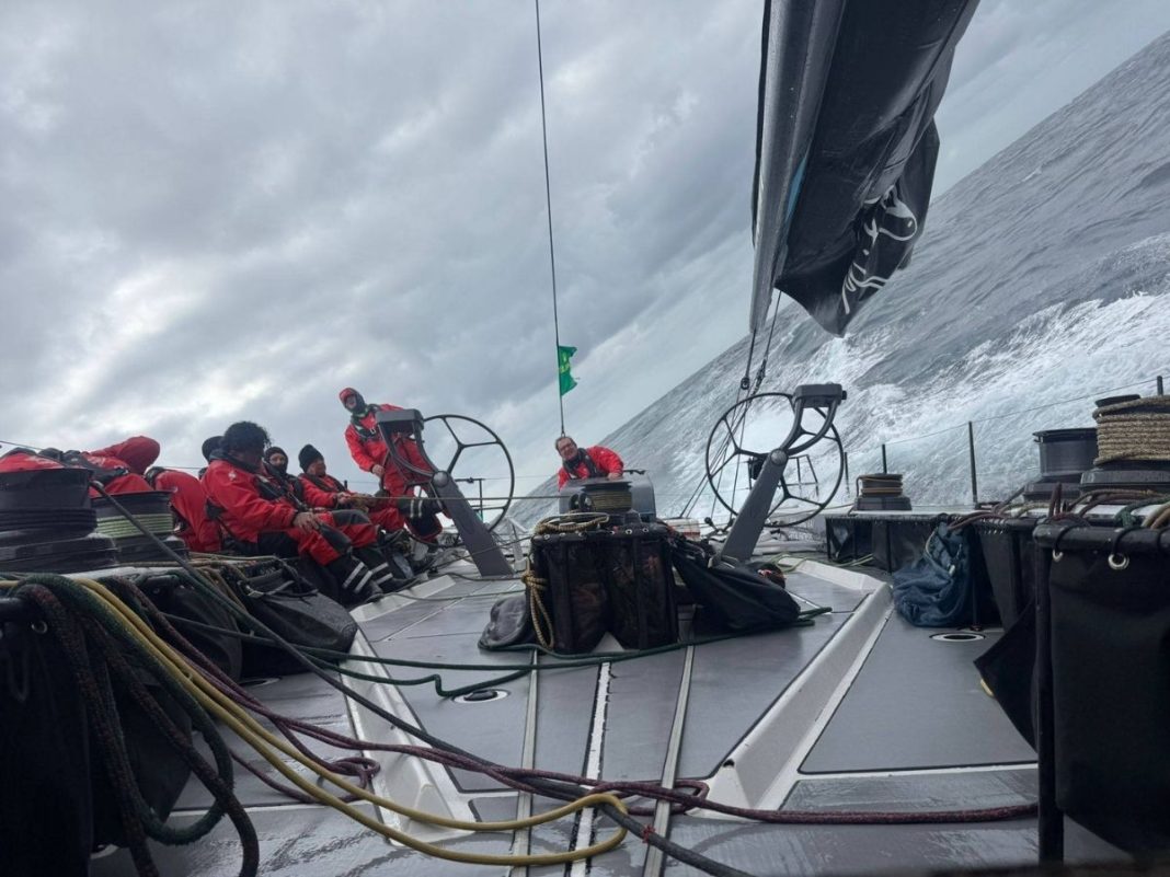 Scallywag // Photo credit: Scallywag / Facebook