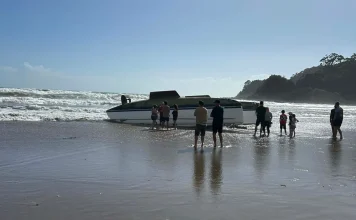 Dog missing after yacht capsizes in Northland