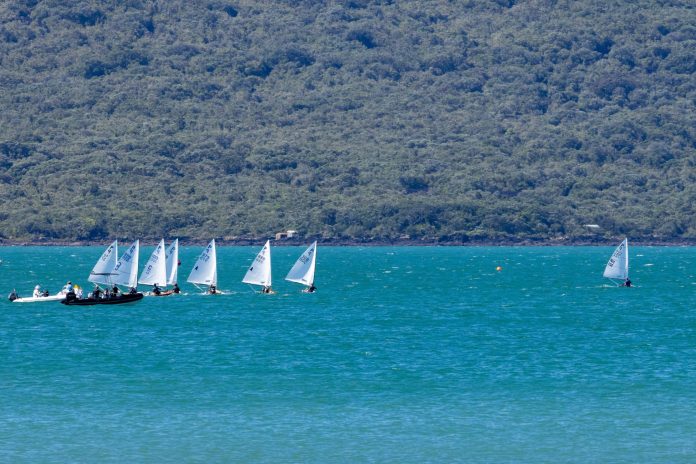 P Class racing, 2026 Tauranga at Kohimarama Yacht Club // Photo credit: Roger Mills / Boating New Zealand P Class racing, 2026 Tauranga at Kohimarama Yacht Club // Photo credit: Roger Mills / Boating New Zealand