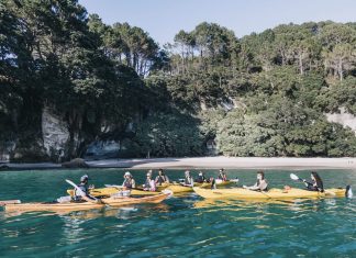 Residents in favour of charging for Cathedral Cove access, survey reveals