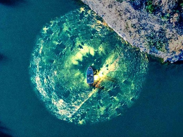 Lowrance ActiveTarget 2 XL live sonar raises the bar for real time fishing // Photo credit: Lowrance