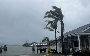 Opua at 1820 Mon 19 Jan 2026