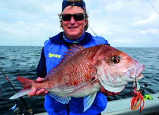 Snapper jigs – six of the best! Snapper jigs – six of the best!