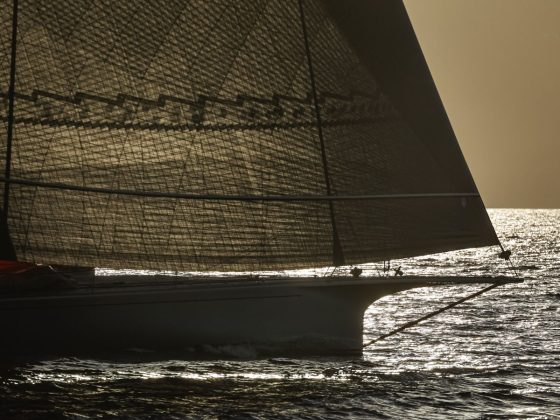 Palm Beach XI and Palm Beach 65