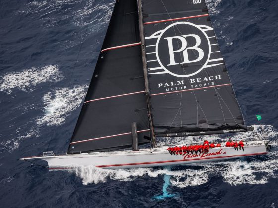 Palm Beach XI and Palm Beach 65