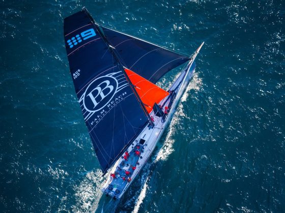 Palm Beach XI and Palm Beach 65