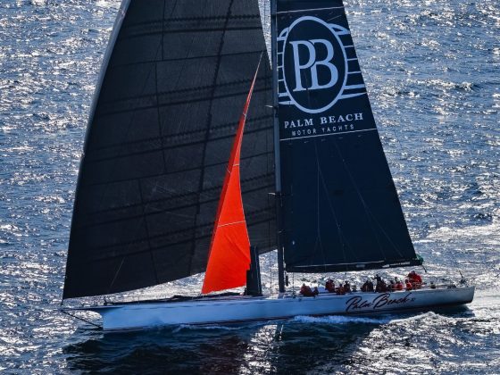 Palm Beach XI and Palm Beach 65