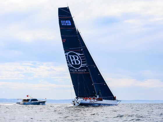 Palm Beach XI and Palm Beach 65