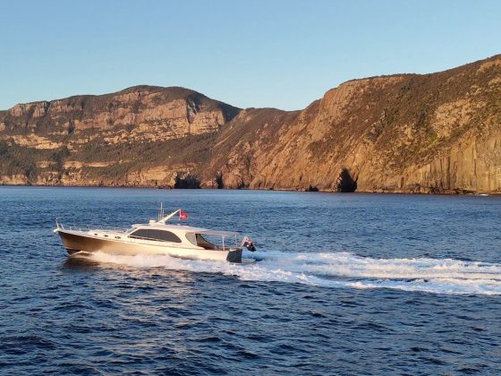 Palm Beach XI and Palm Beach 65