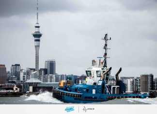Auckland Anniversary Day Regatta 2026: One second, bright colours, and big personalities define the tugboat racing